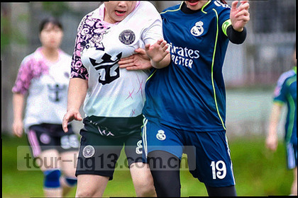 手机屏幕显示统计下载完成状态的示意图